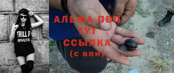 сатива Михайловск