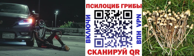 Галлюциногенные грибы мухоморы  Купить  Нюрба 